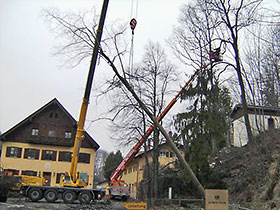 Problembaumfällung mit Schwerlastkran