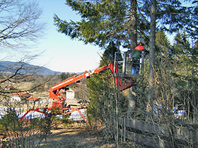 Baumabtragung - Baumschnitt - Problembaumfällung