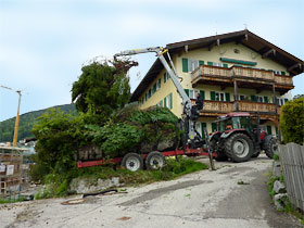 Rückewagen im Einsatz am Hang