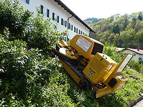 Baumstumpffräse Wurzelstockfräse SC60TX im Einsatz